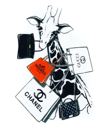 Fashion bags Iron On heat transfer