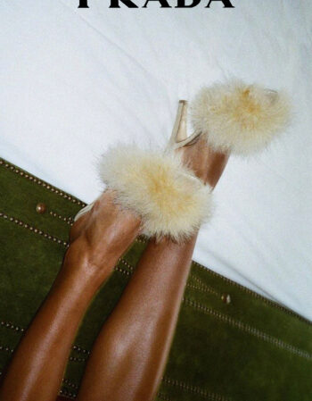 Prada heat transfers 1