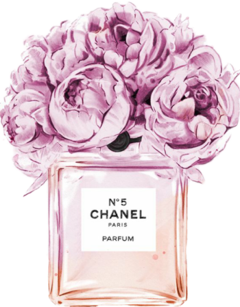 CC iron on heat transfers 24