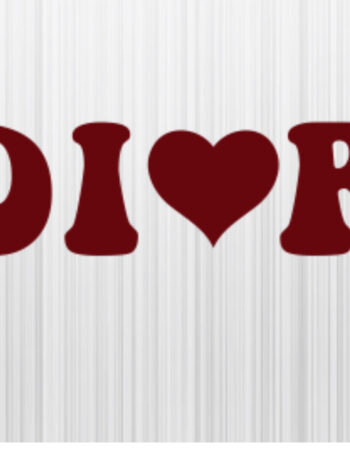 DR iron on heat transfers 5