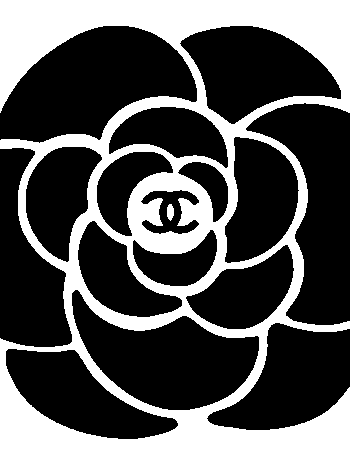 CC iron on heat transfers 5