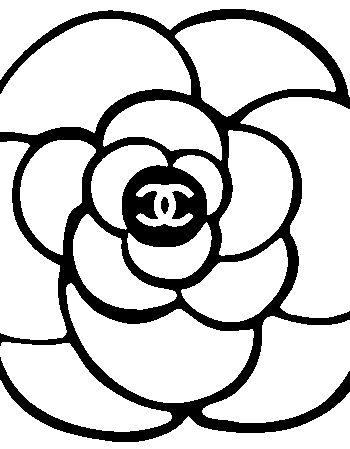 CC iron on heat transfers 4