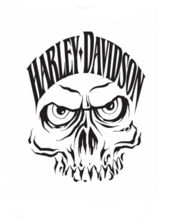 Harley heat transfer 9