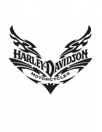 Harley heat transfer 8