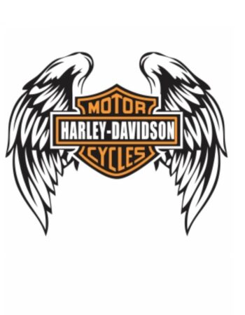Harley heat transfer 6