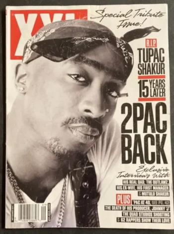 Iron on heat transfers 33