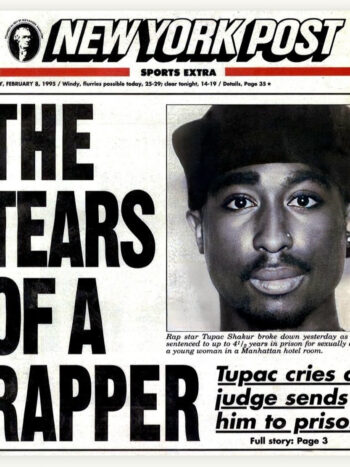 Iron on heat transfers 26