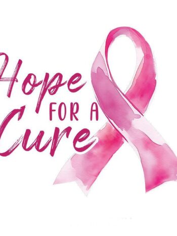 Iron on heat transfers 9