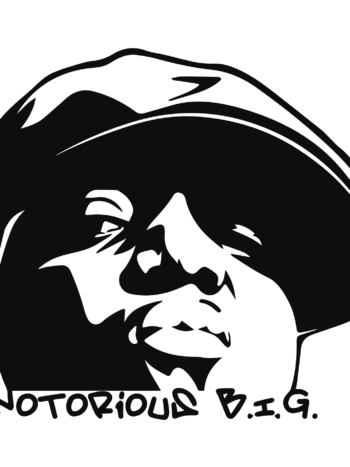 Iron on heat transfers 20