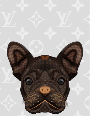 LV iron on heat transfers 30