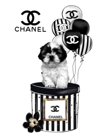 Dog iron on heat transfers