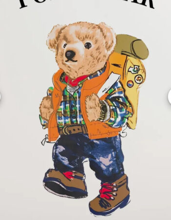 teddy bear heat transfers