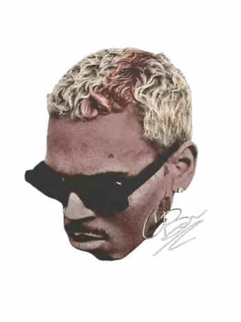 Chris Brown heat transfers 41