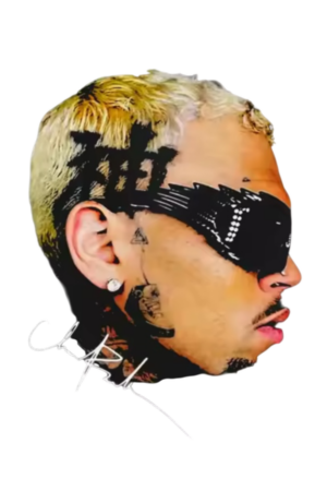 Chris Brown heat transfers 33