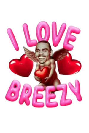 I love Chris Brown heat transfers