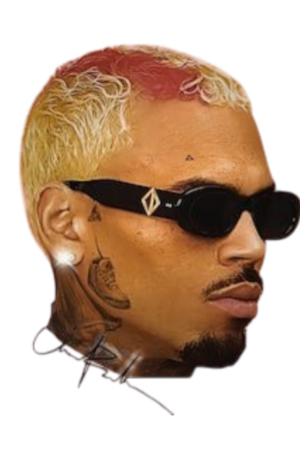 Chris Brown heat transfers 27