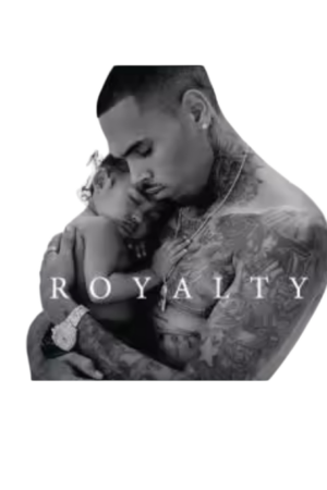 Chris Brown heat transfers 19