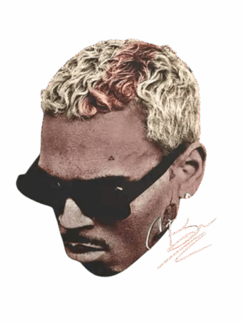 Chris Brown heat transfers 17