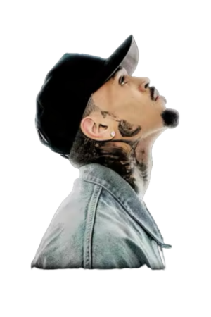 Chris Brown heat transfers 15