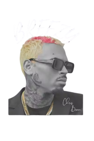 Chris Brown heat transfers 14