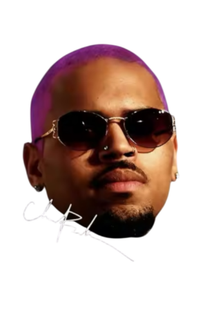 Chris Brown heat transfers 13