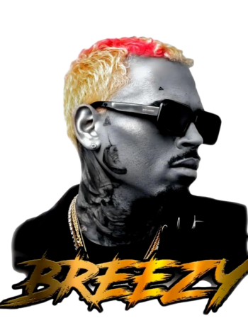 Chris Brown heat transfers 6