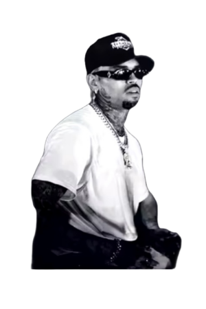 Chris Brown heat transfers 5