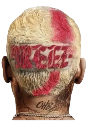 Chris brown Hip Hop DTF Transfers