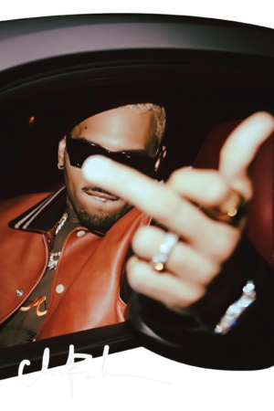 Chris Brown heat transfers 69