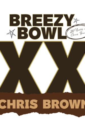 Chris Brown heat transfers 58