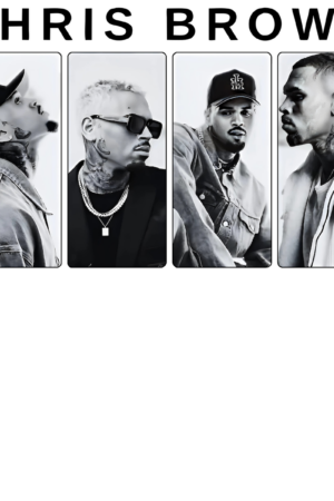 Chris Brown heat transfers 57