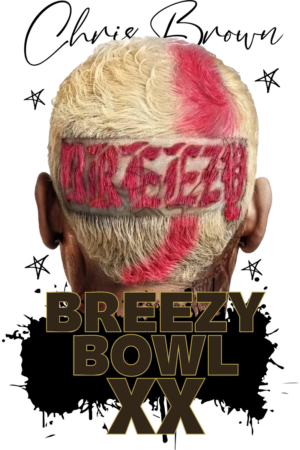 Chris Brown heat transfers 56