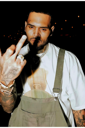 Chris Brown heat transfers 55