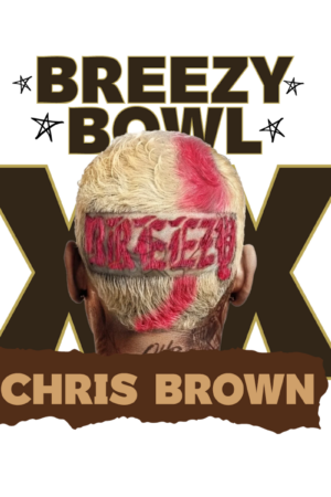 Chris Brown heat transfers 46