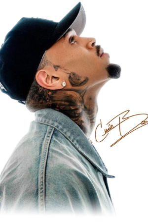 Chris Brown heat transfers 15