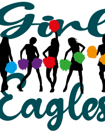 Eagles sports heat transfers