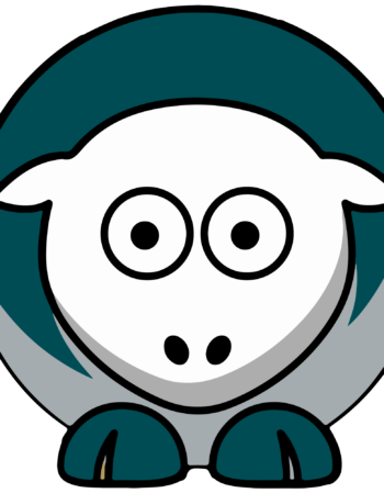 Eagles sports heat transfers