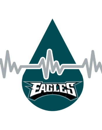 Eagles sports heat transfers