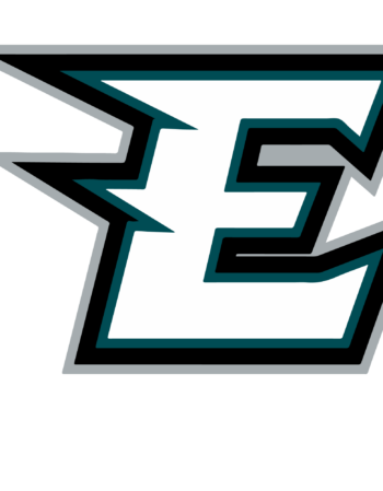 Eagles sports heat transfers