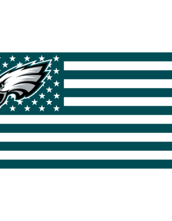 Eagles sports heat transfers