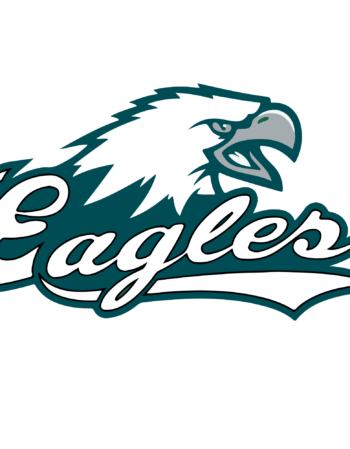 Eagles sports heat transfers