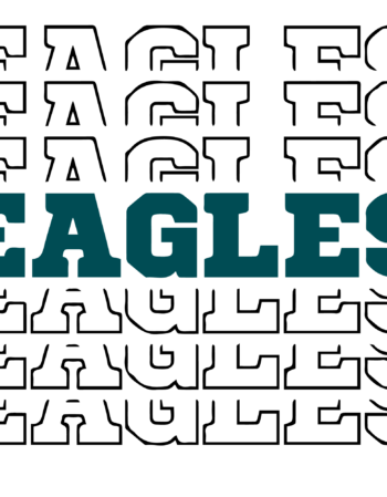 Eagles sports heat transfers