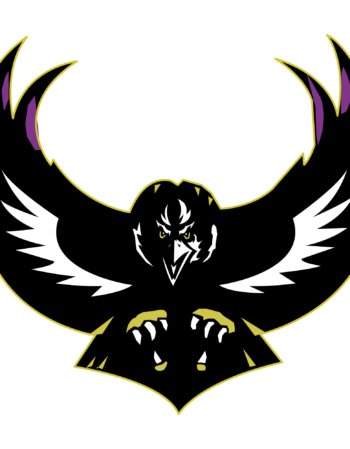 football heat transfers