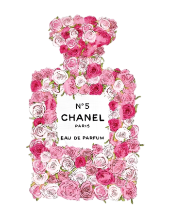 CC iron on heat transfers 22