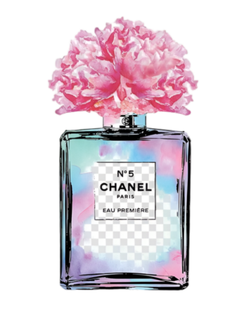 CC iron on heat transfers 26